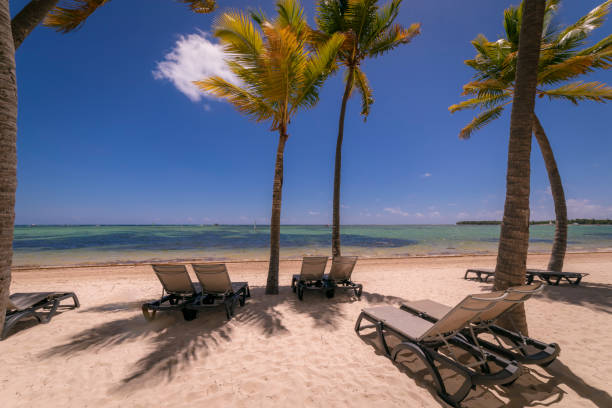 istock Turquoise natural pool, Beach chairs under palm trees – Punta Cana, Caribbean 1194186068