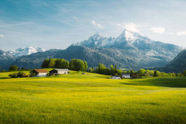 idylliczny krajobraz w alpach z kwitnącymi łąkami wiosną - switzerland lake beauty in nature nature zdjęcia i obrazy z banku zdjęć