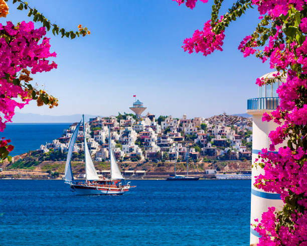 Beautiful pink and purple flowers frame a sea view in Ortakent, Bodrum, Turkey stock photo