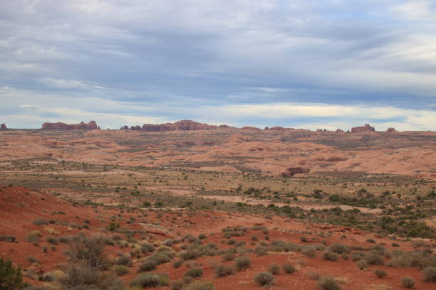 istock Desert Views in the Southwestern US 1194190893
