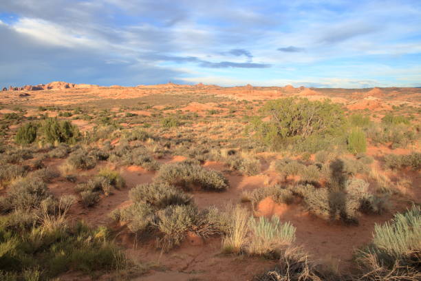 istock Petrified Dunes, Arches National Park 1194191640