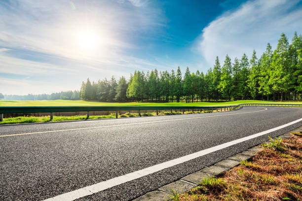 istock Asphalt road and green forest with grass on a sunny day. 1194193362