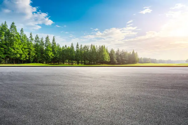 Photo of Race track ground and green forest landscape at sunset.