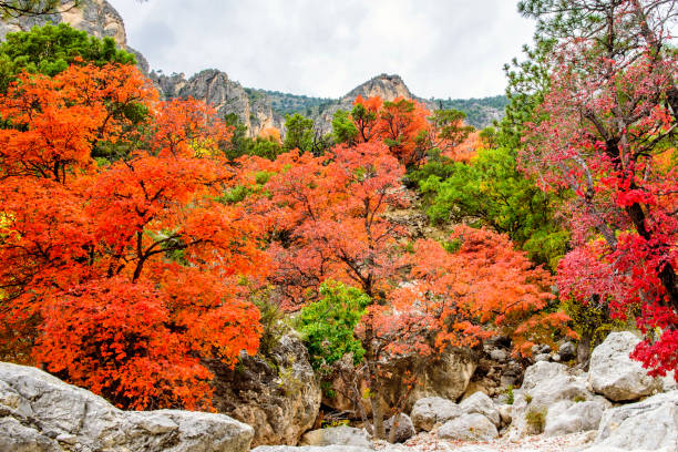 istock Rocks, Mountains and Autumn Colors 1194193417