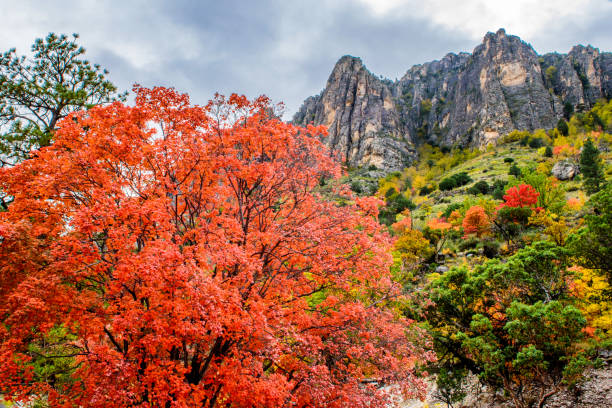 istock Fall Red and Majestic Mountain Grey 1194194872