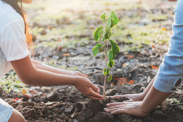 istock children and mom helping planting young tree. eco concept 1194194916