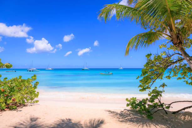 summer paradise: tropical beach with boats and yachts – punta cana, caribbean - speedboat leisure activity relaxation recreational boat imagens e fotografias de stock