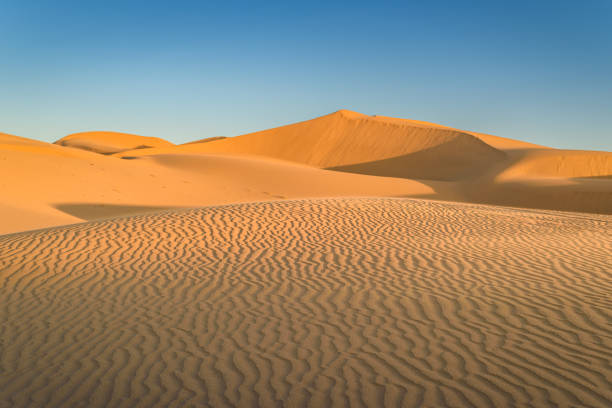 istock Sunset over the sand dunes in the desert 1194209305
