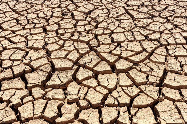 istock Cracks of the dried soil background 1194209331