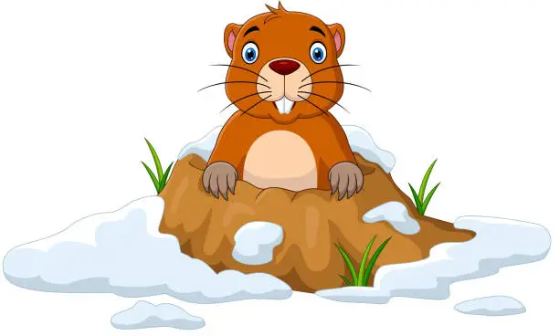 Vector illustration of Cartoon groundhog looking out of hole