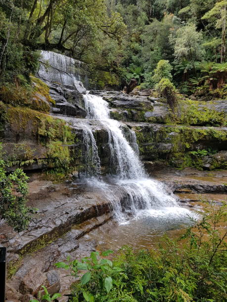 Waterfall Exploring Tasmania shova stock pictures, royalty-free photos & images