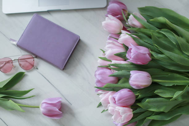 istock A tulip pink and red flower in home decor. 1194226218