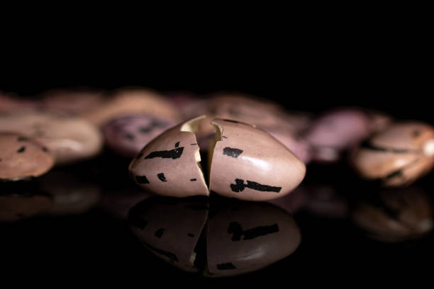 istock Pinto speckled bean isolated on black glass 1194226362