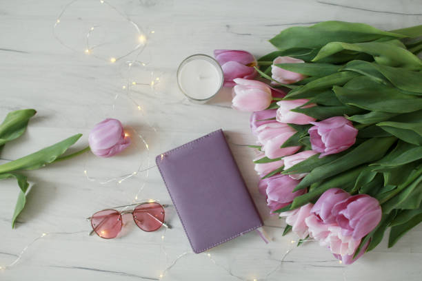 istock A tulip pink and red flower in home decor. 1194226428