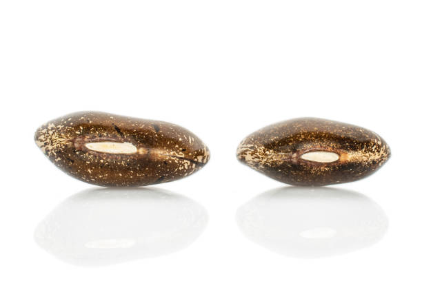 istock Brown speckled bean isolated on white 1194227058