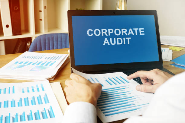 istock Corporate audit report on the laptop. 1194231006