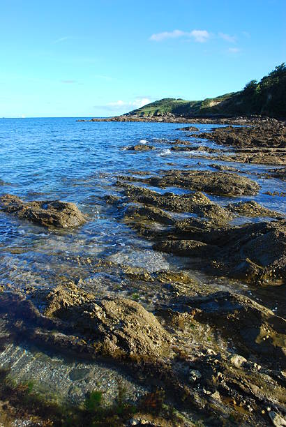 istock meanporth, Falmouth, Cornwall 119423530