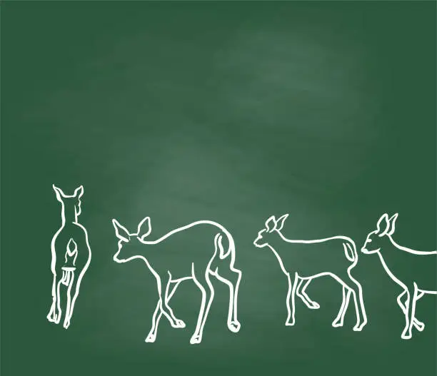 Vector illustration of Deer Running Chalkboard