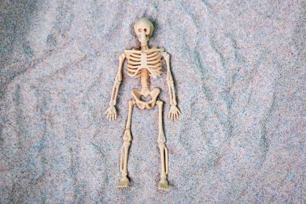 istock skeleton figure lies in the sand 1194240312