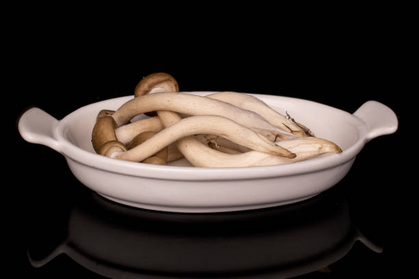 brown shimeji mushroom isolated on black glass - mushroom stem cap plate imagens e fotografias de stock