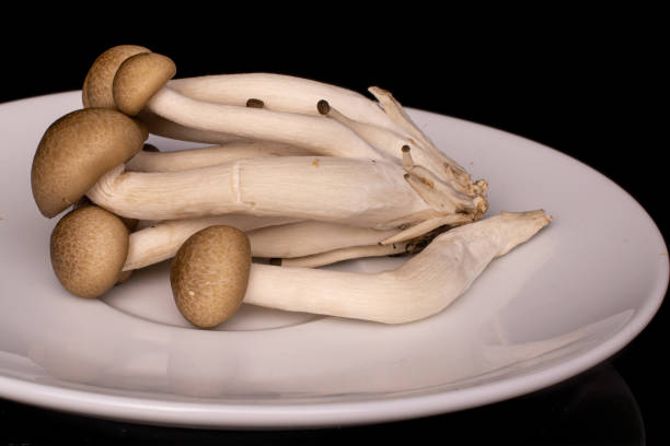 brown shimeji mushroom isolated on black glass - mushroom stem cap plate imagens e fotografias de stock