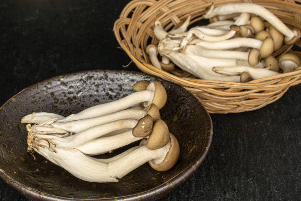 istock Brown shimeji mushroom on grey stone 1194240669