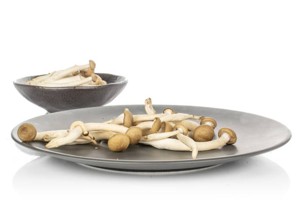 коричневый гриб симедзи изолирован на белом - mushroom stem cap plate стоковые фото и изображения