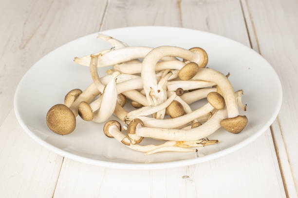 brown shimeji mushroom on grey wood - mushroom stem cap plate imagens e fotografias de stock