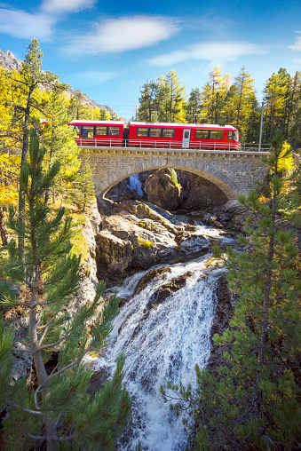 Swiss electric trains pass mountain alpine gorges over beautiful stone bridges over stormy clean rivers and waterfalls, among a golden autumn forest.