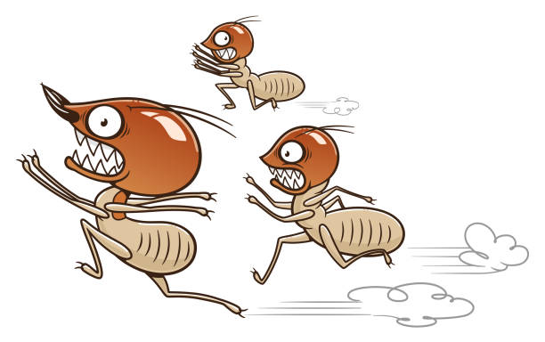 Termites running away Three termites running away and scared. Termites series. termite stock illustrations
