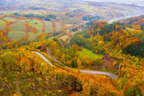 istock Panoramic autumn view of road 1194242382