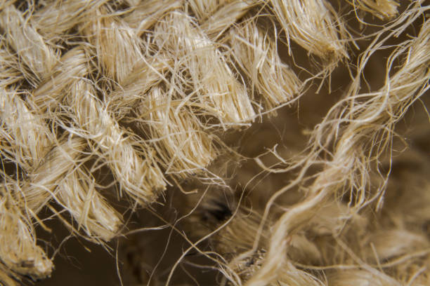 istock Macro shots close-up the burlap cloth side 1194243687