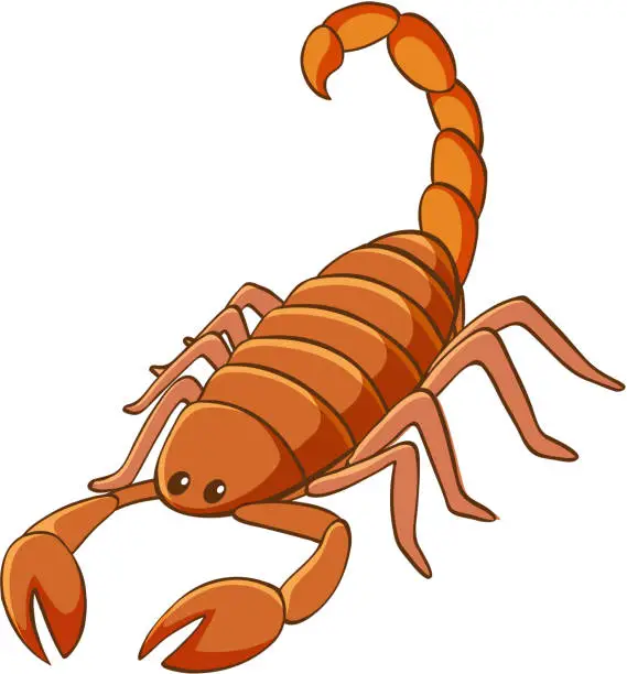 Vector illustration of Scorpion on white background