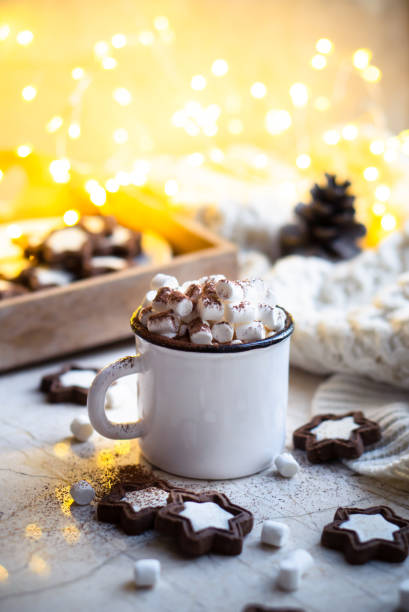 Comforting Christmas food, mug of hot cocoa with marshmallow and cookies with cozy lights stock photo