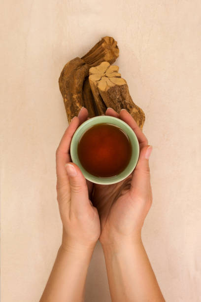Drinking ayahuasca. Drinking ayahuasca. Female hand holding a bowl with psychedelic drink yage and banisteriopsis caapi wood. banisteriopsis caapi stock pictures, royalty-free photos & images