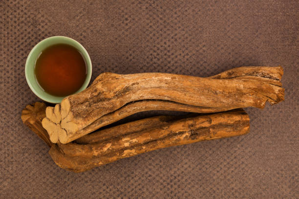 Traditional visionary medicine Ayahuasca. Ayahuasca brew and banisteriopsis caapi wood. Psychedelic drink, Entheogen. banisteriopsis caapi stock pictures, royalty-free photos & images