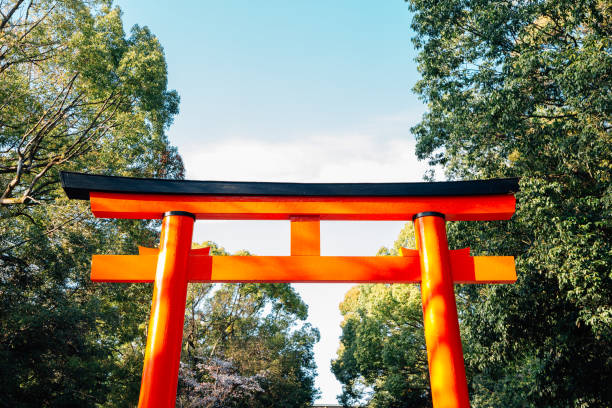 porta torii do santuário de shimogamo em kyoto, japão - jinja - fotografias e filmes do acervo