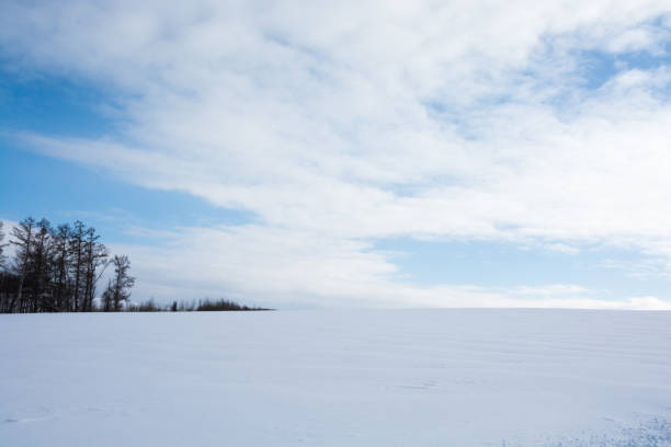 istock Snowy field in Hokkaido 1194252508