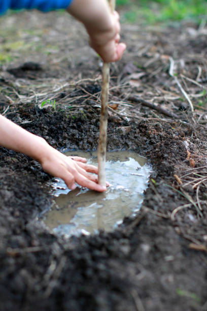istock Anonymous child hands having fun playing with mud and water 1194253355