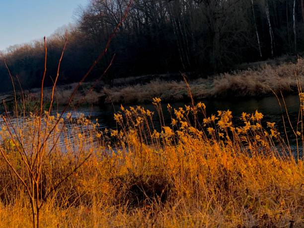 istock Autumn beauty holding a river 1194254565