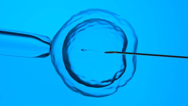 istock In vitro fertilization or artificial insemination, 3D-rendering 1194255939
