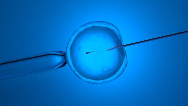 體外受精或人工授精，3d渲染 - 體外受精 不育 圖片 個照片及圖片檔
