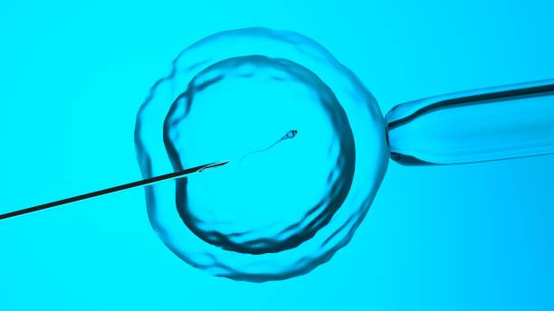istock In vitro fertilization or artificial insemination, 3D-rendering 1194255946