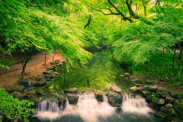 istock westlake landscape ,hangzhou,china 1194255953