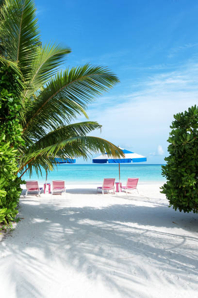 istock Summer beach holiday and vacation scene 1194255971
