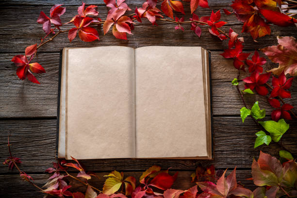 Autumn vintage old real book blank pages leaves frame red colorful on wooden rustic board