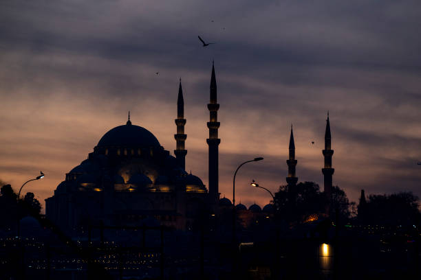 Suleymaniye Mosque, Istanbul, Turkey - Middle East, Architecture, Ottoman Empire