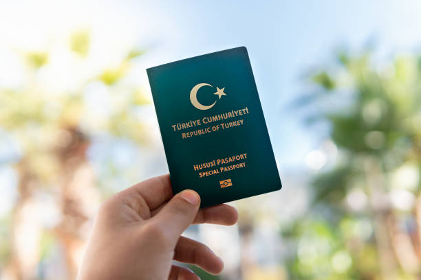 Front view of Turkish passports over tree background stock photo