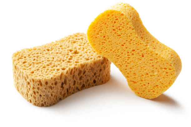 istock Cleaning: Sponges Isolated on White Background 1194260859
