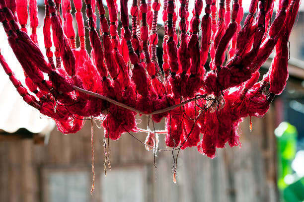 Silk swags dry in the sun after dying, Inle Lake Life, Shan State, Myanmar. The picturesque fresh water Inle Lake with its tranquil waters, tributaries, inlets and floating agricultural gardens is the second largest  and highest altitude lake in Myanmar, with a rich wealthy hive of activity, cottage industry,  handicrafts and subsistence farming that makes it one of the most productive places for its ethnic group of Inntha, or Inn Tha self-sufficient farmers